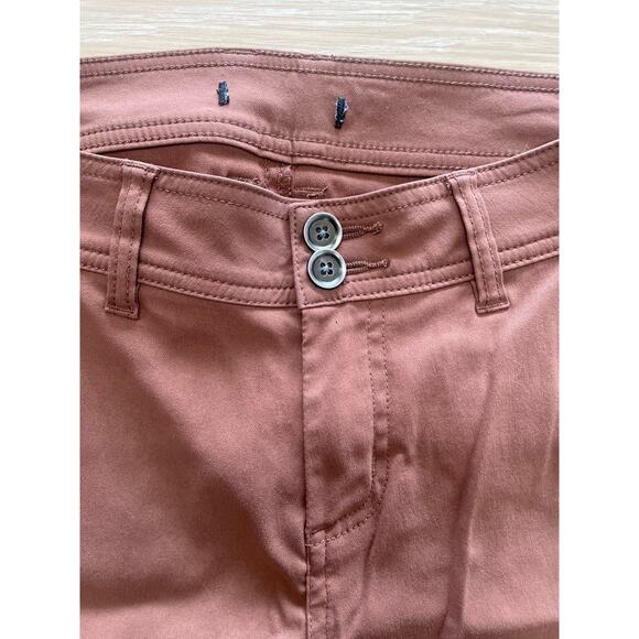 PrAna Pants Men's Brown Sepia Medium Straight Outdoor Performance Stretch Conver - Picture 6 of 16